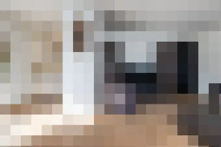 Rietdekkersweg 1 A Wezep thumbnail 17