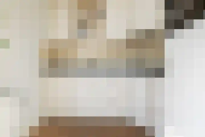 Rietdekkersweg 1 A Wezep thumbnail 18