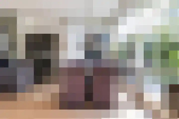Rietdekkersweg 1 A Wezep thumbnail 19
