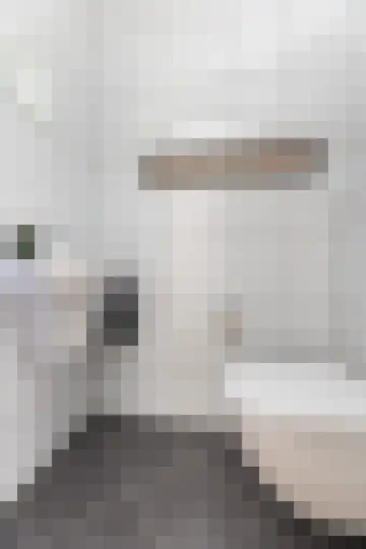 Rietdekkersweg 1 A Wezep thumbnail 21