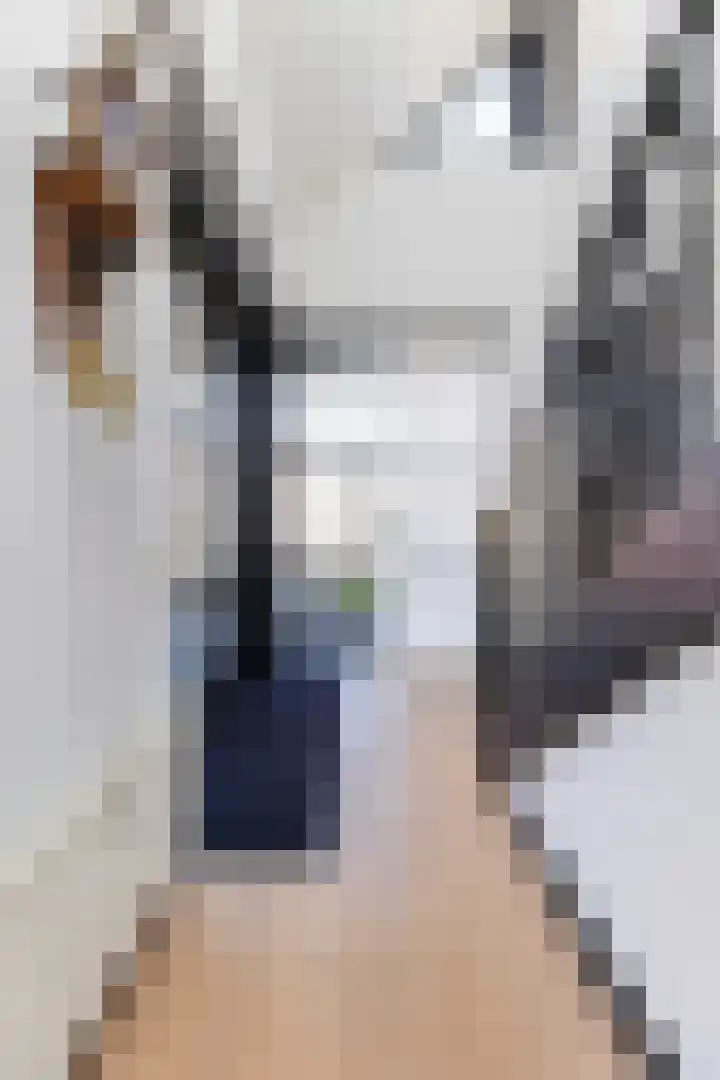 Rietdekkersweg 1 A Wezep foto 3