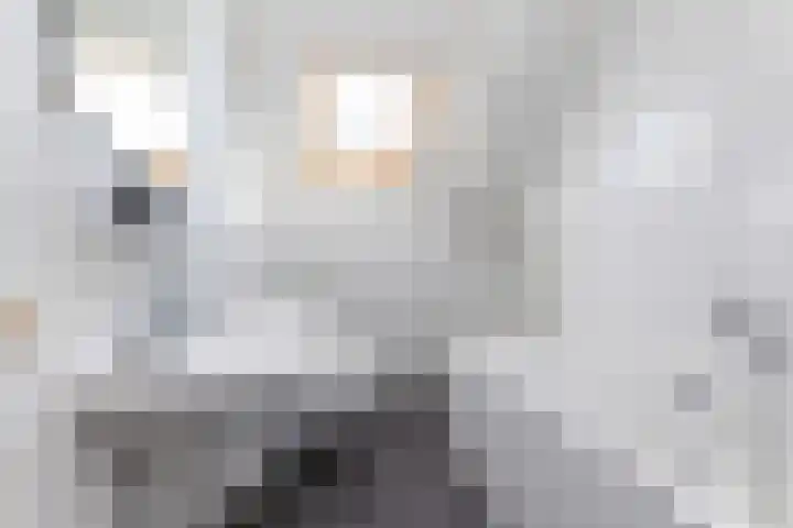 Rietdekkersweg 1 A Wezep thumbnail 36