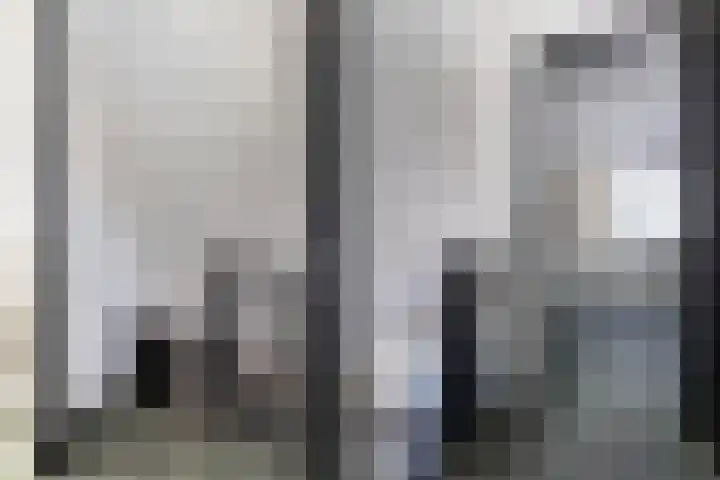 Rietdekkersweg 1 A Wezep thumbnail 37