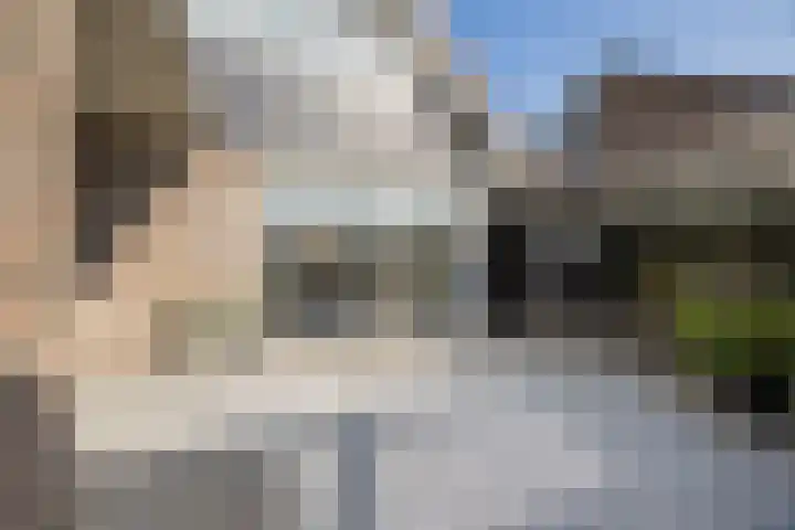 Rietdekkersweg 1 A Wezep thumbnail 42