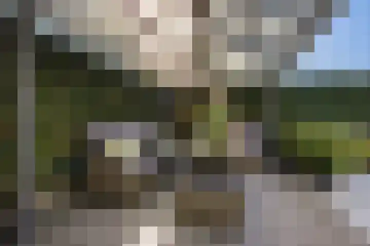 Rietdekkersweg 1 A Wezep thumbnail 43