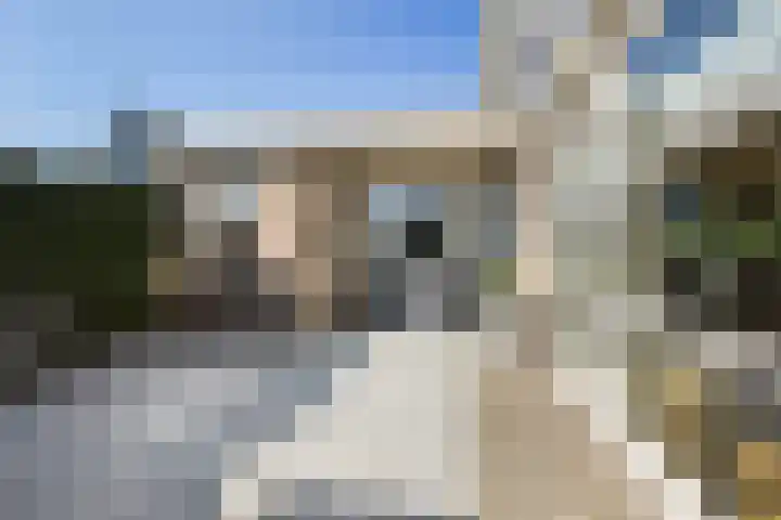 Rietdekkersweg 1 A Wezep thumbnail 44