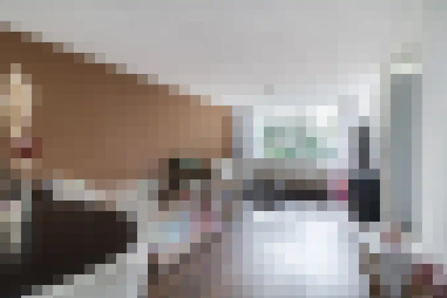 Rietdekkerweg 100 Rotterdam thumbnail 4