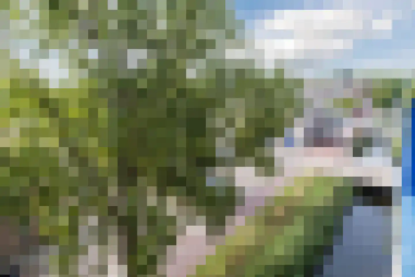 Rietdekkerweg 100 Rotterdam thumbnail 43