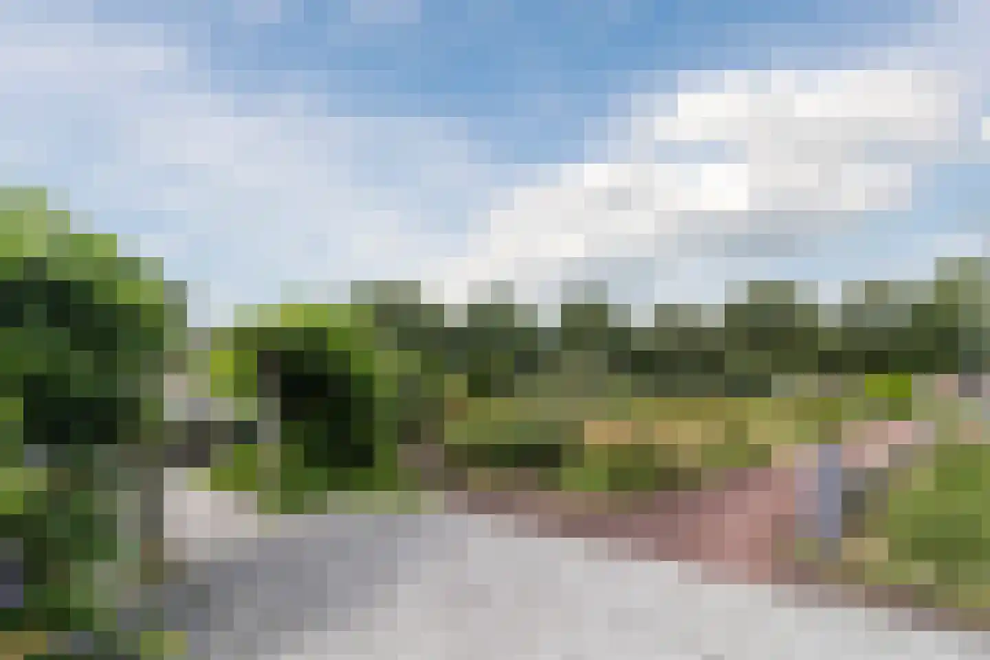 Rietdekkerweg 100 Rotterdam thumbnail 50