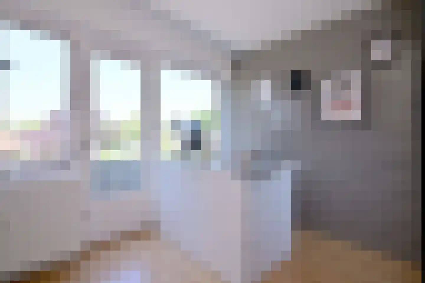 Rietdekkerweg 16 Gorssel thumbnail 21