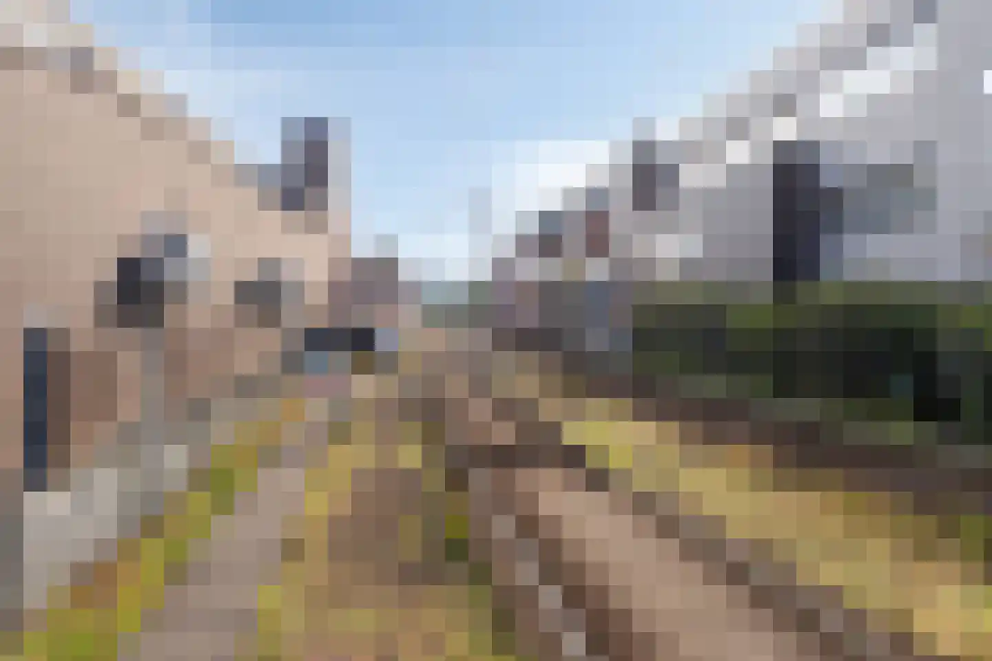 Rietdekkerweg 73 Rotterdam thumbnail 26