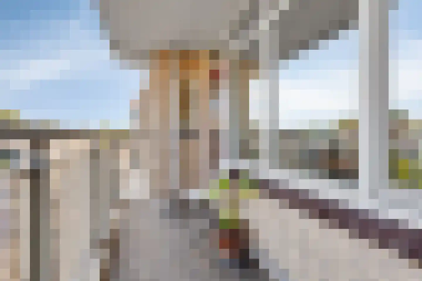Rietdekkerweg 73 Rotterdam thumbnail 7