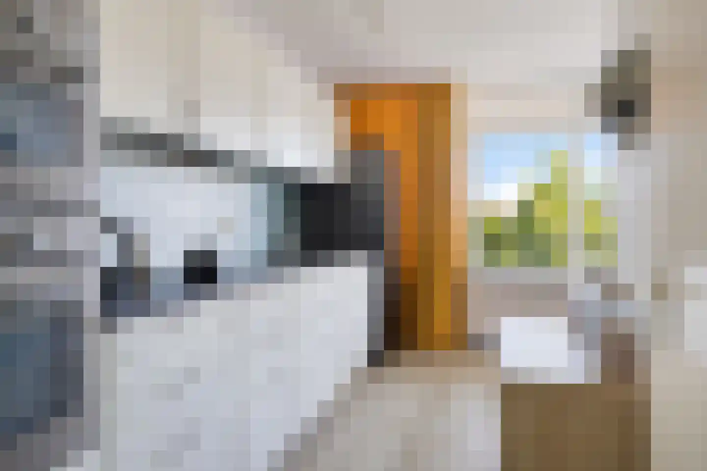 Rietdekkerweg 73 Rotterdam thumbnail 9