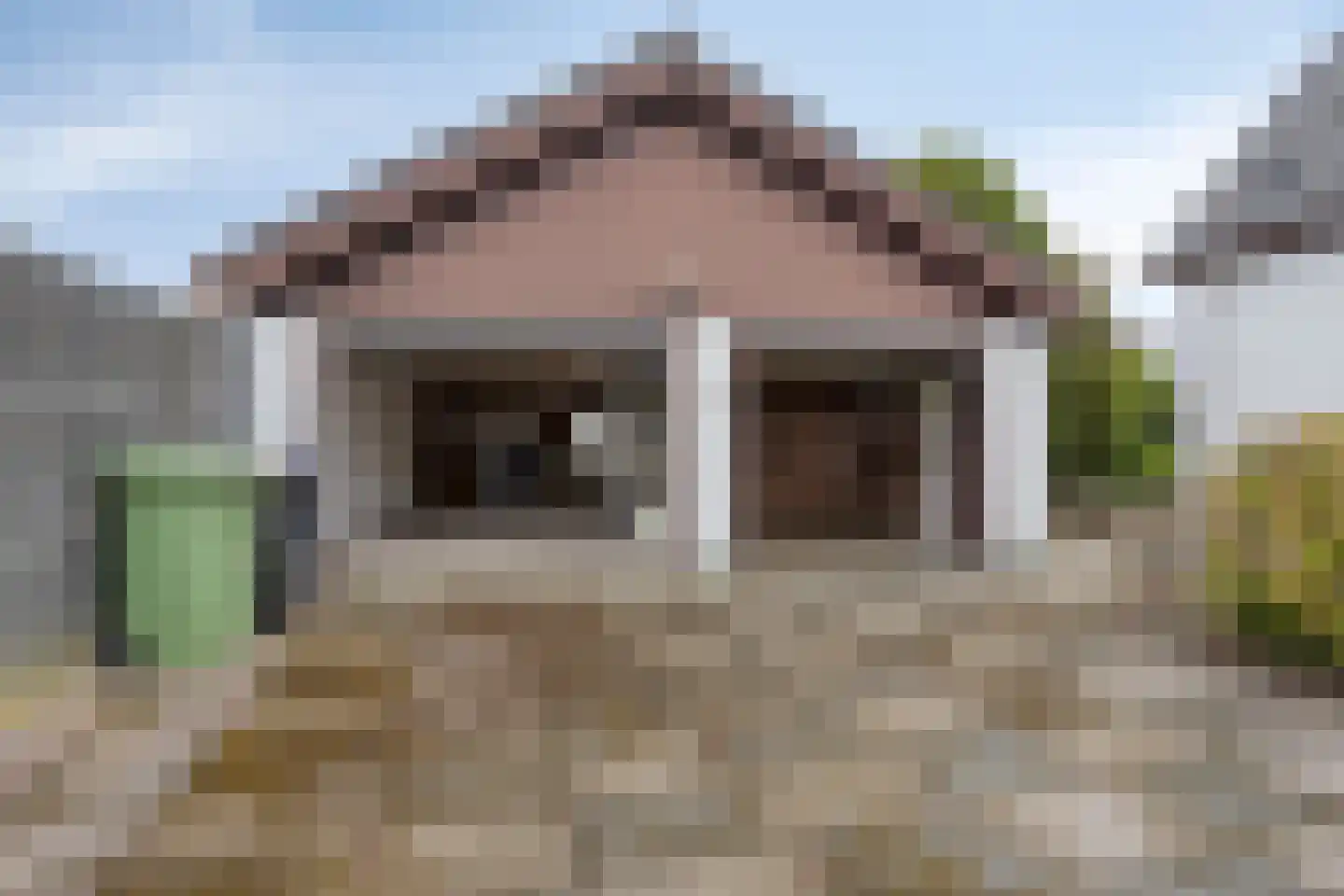 Rietdijk 72 Tinte thumbnail 34