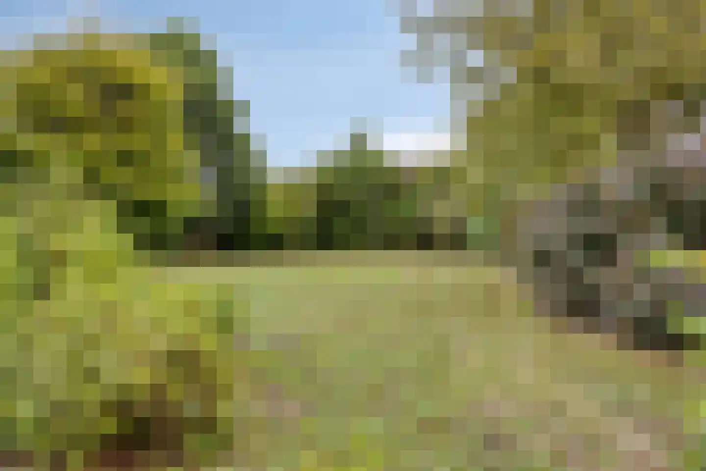 Rietdijk 72 Tinte thumbnail 4