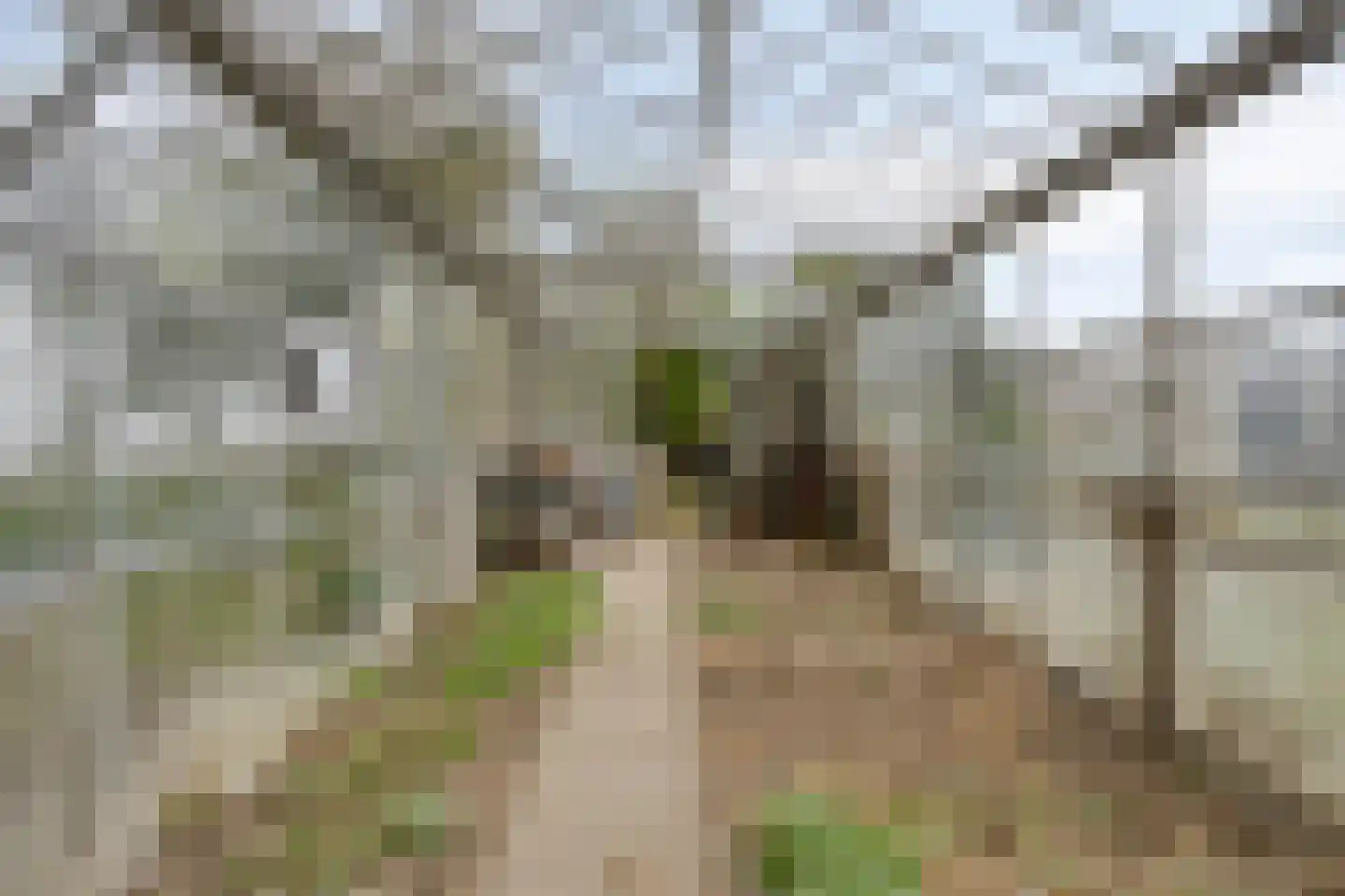 Rietdijk 72 Tinte thumbnail 44