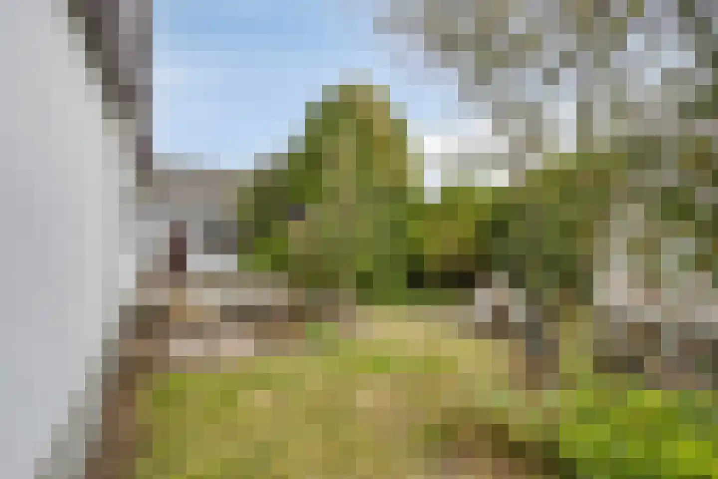 Rietdijk 72 Tinte thumbnail 7