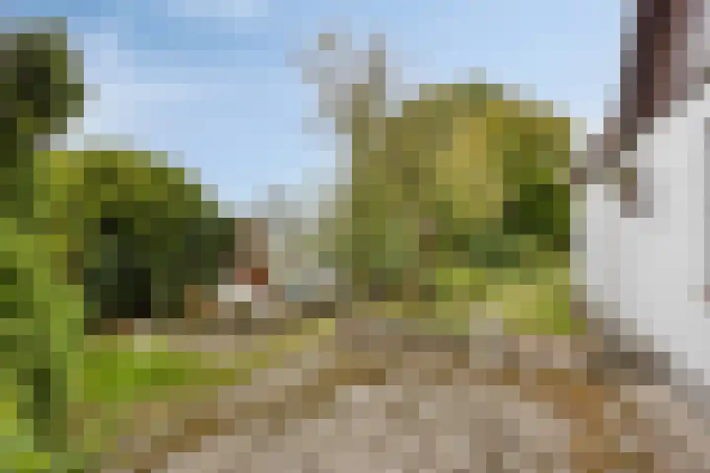 Rietdijk 72 Tinte thumbnail 8