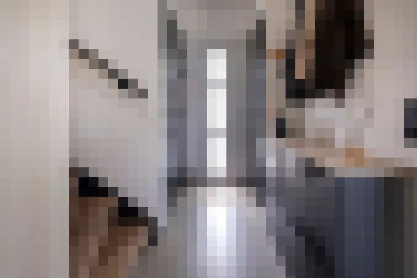 Riete 12 Assen thumbnail 11