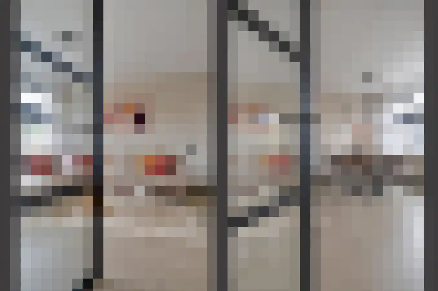 Riete 12 Assen thumbnail 13