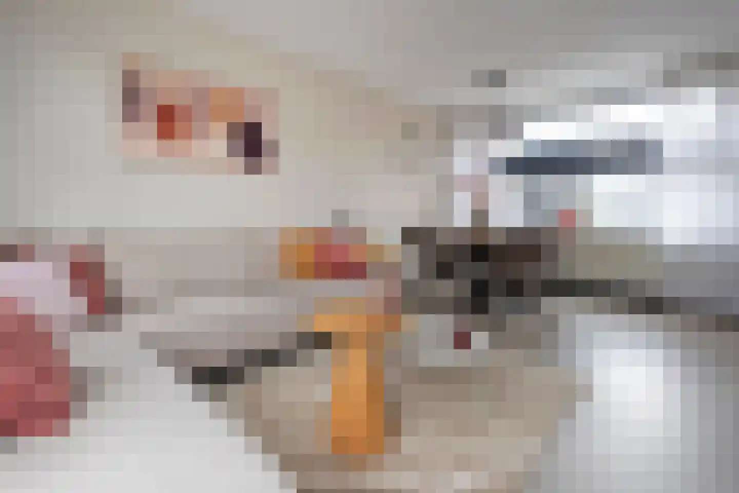 Riete 12 Assen thumbnail 16