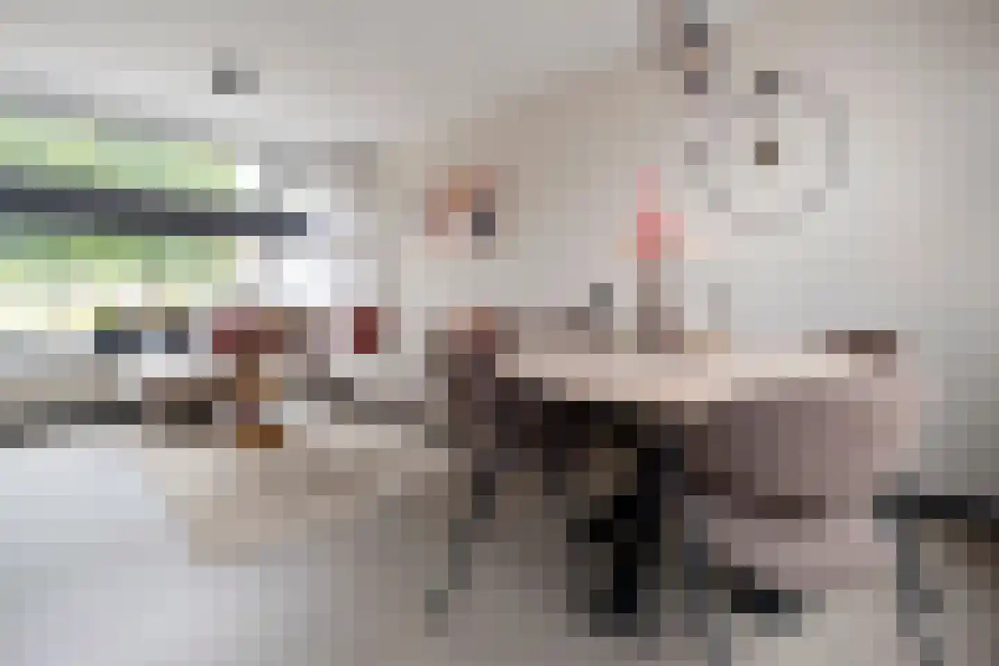 Riete 12 Assen thumbnail 17