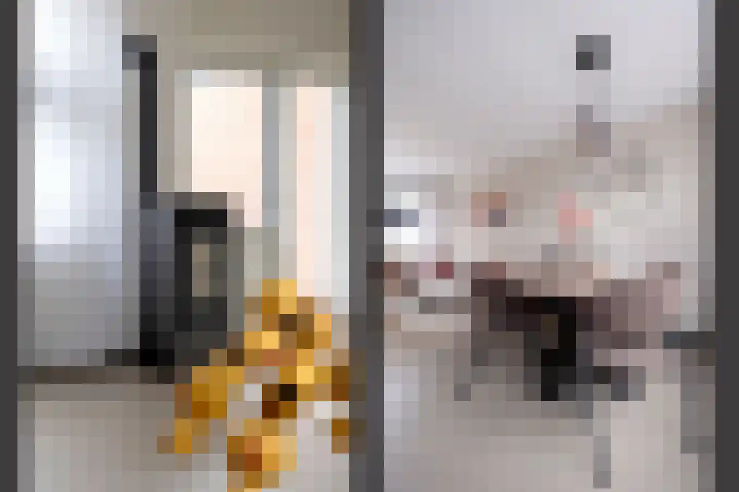 Riete 12 Assen thumbnail 18