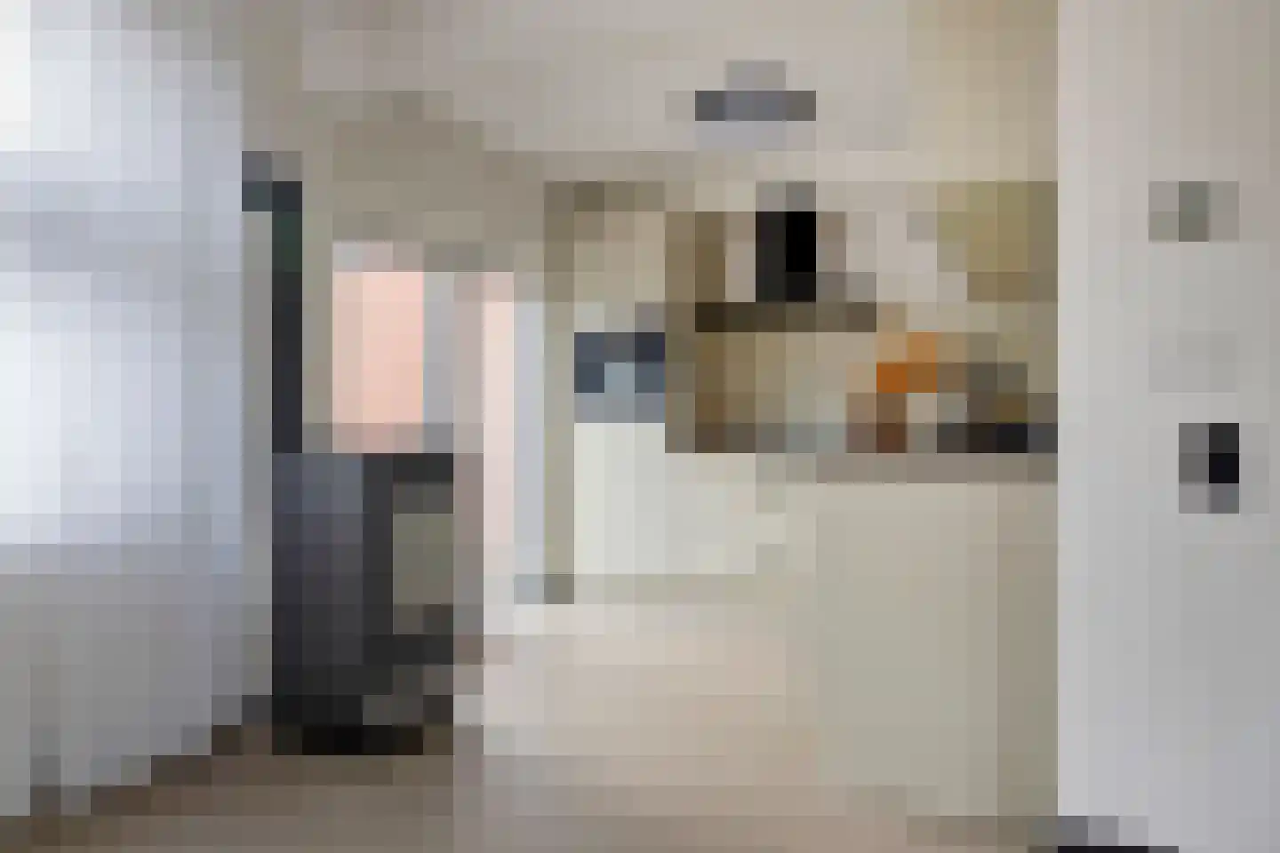 Riete 12 Assen thumbnail 19