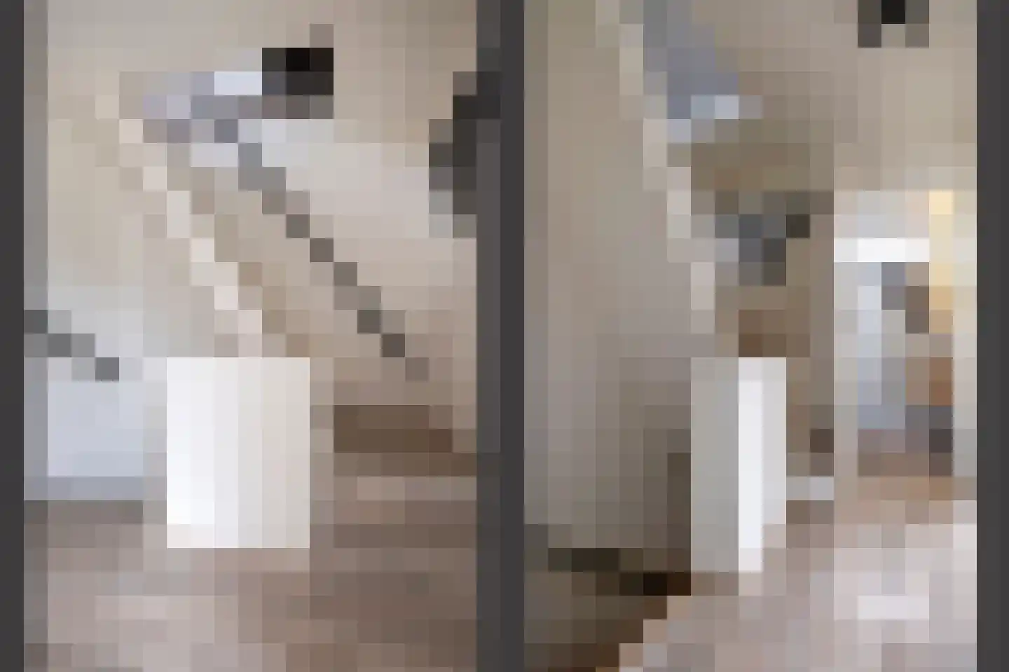 Riete 12 Assen thumbnail 25