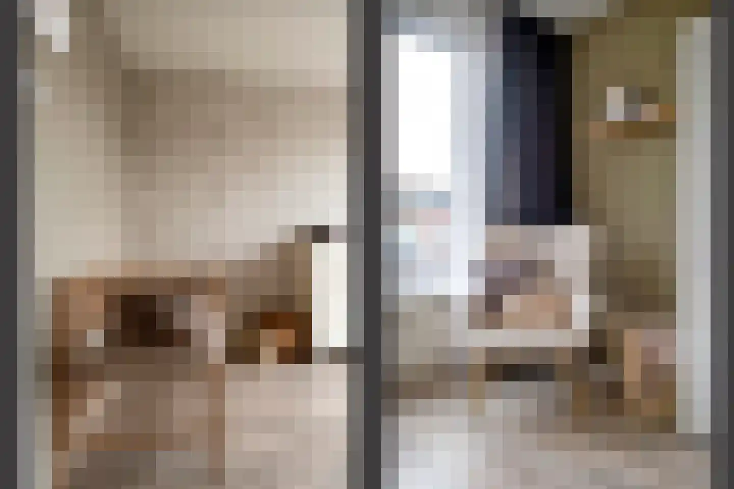 Riete 12 Assen thumbnail 30