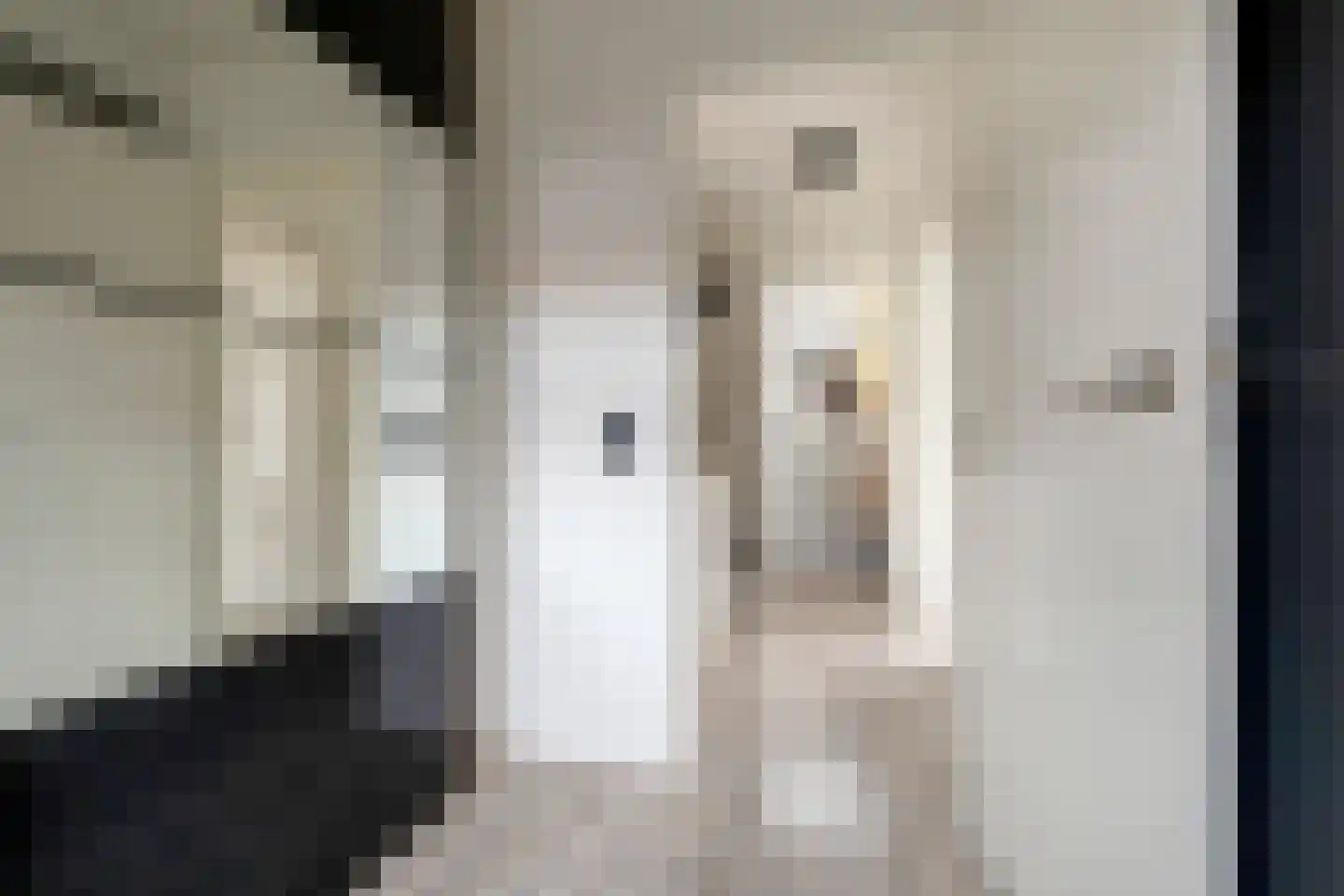 Riete 12 Assen thumbnail 34