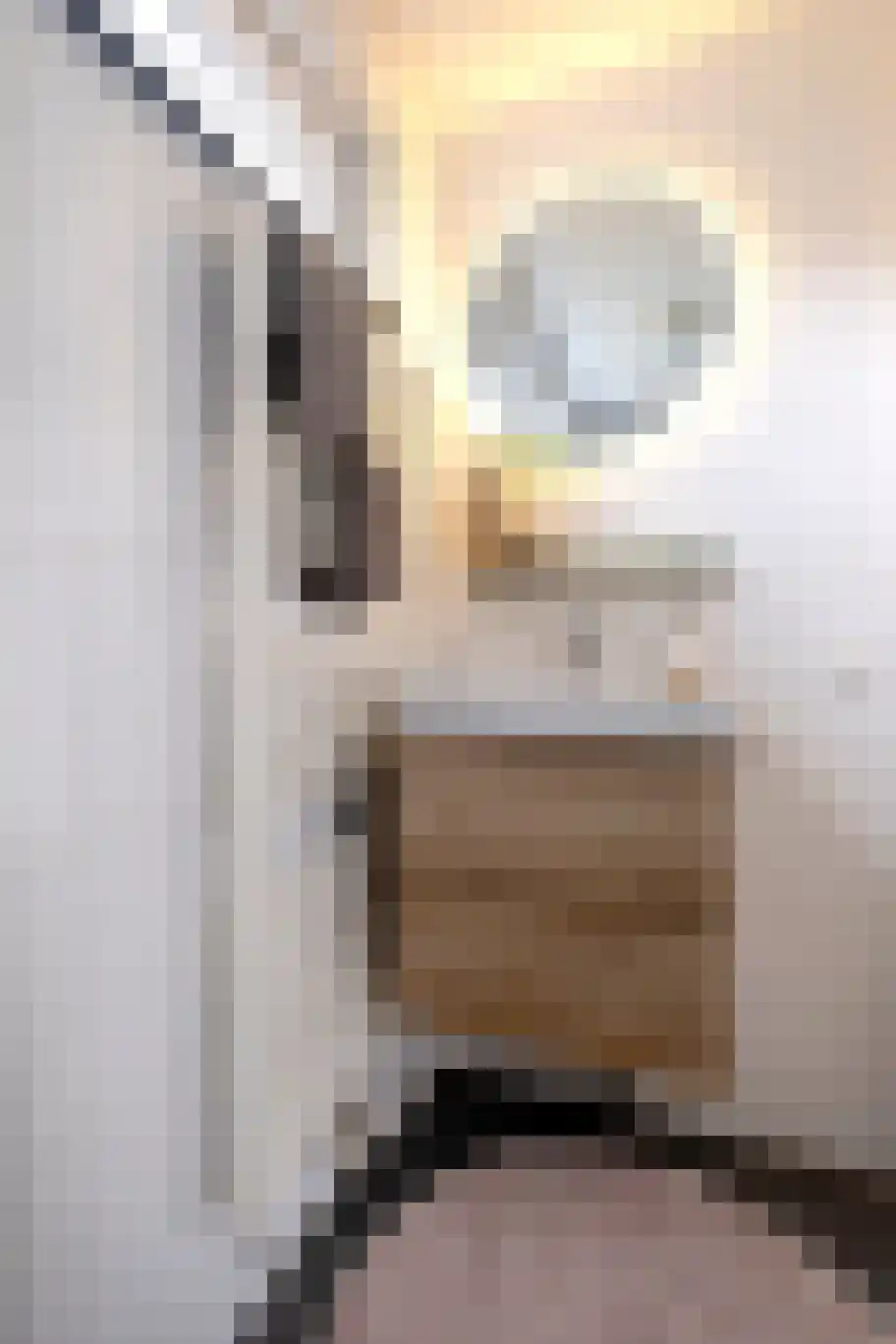 Riete 12 Assen thumbnail 36