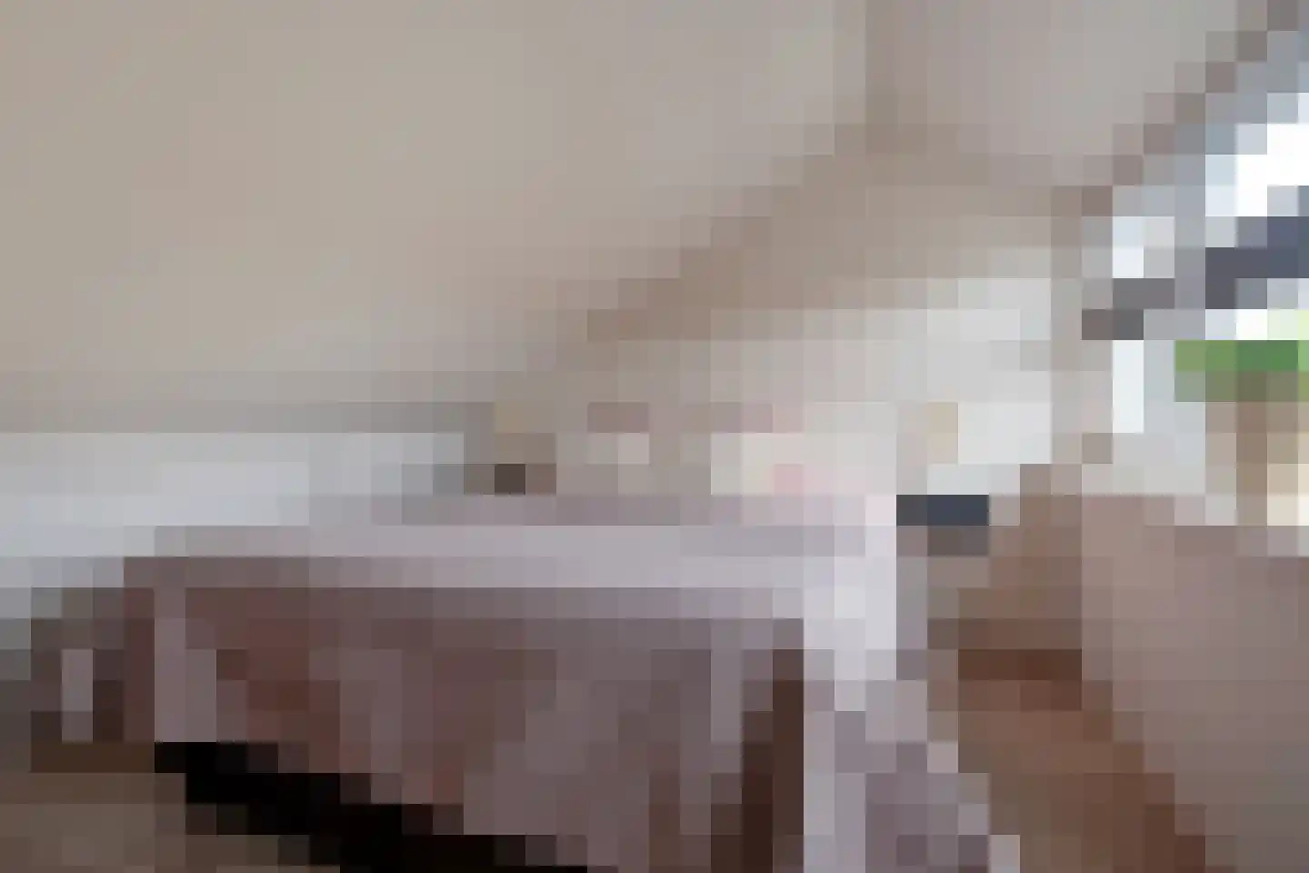 Riete 12 Assen thumbnail 39