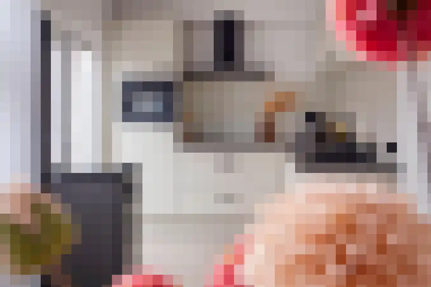 Riete 12 Assen thumbnail 4