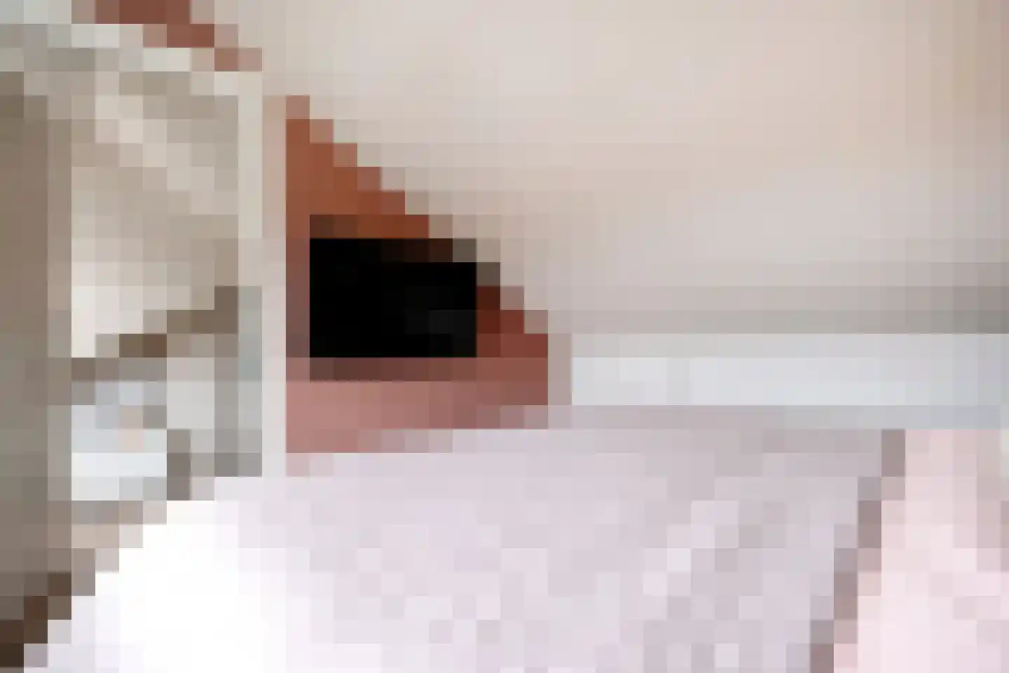 Riete 12 Assen thumbnail 40