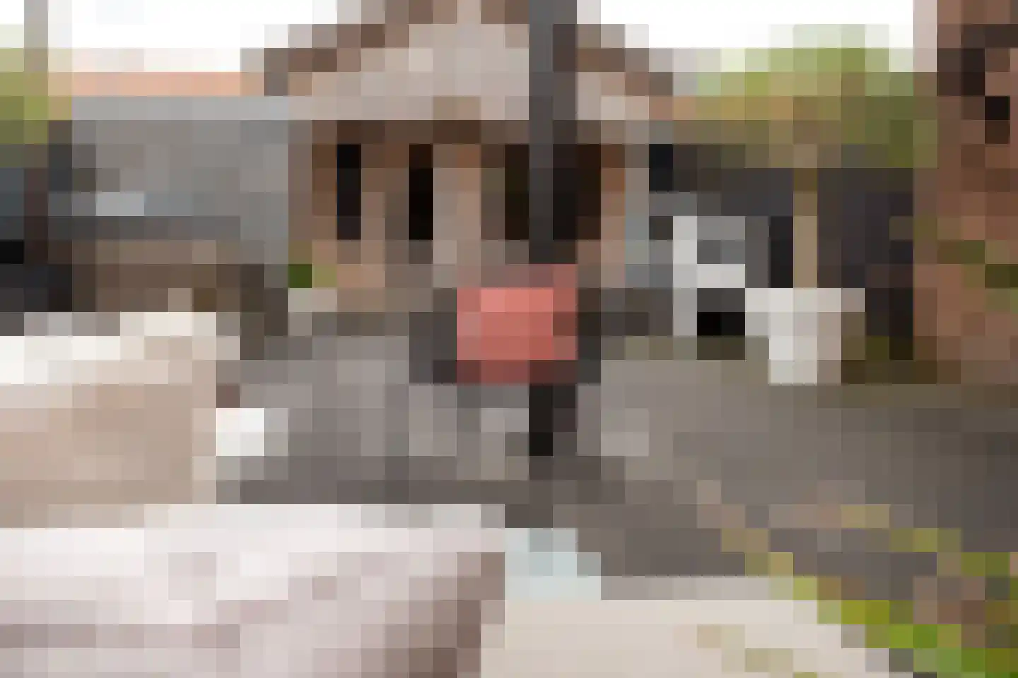 Riete 12 Assen thumbnail 44