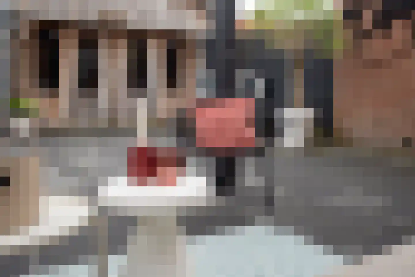 Riete 12 Assen thumbnail 46