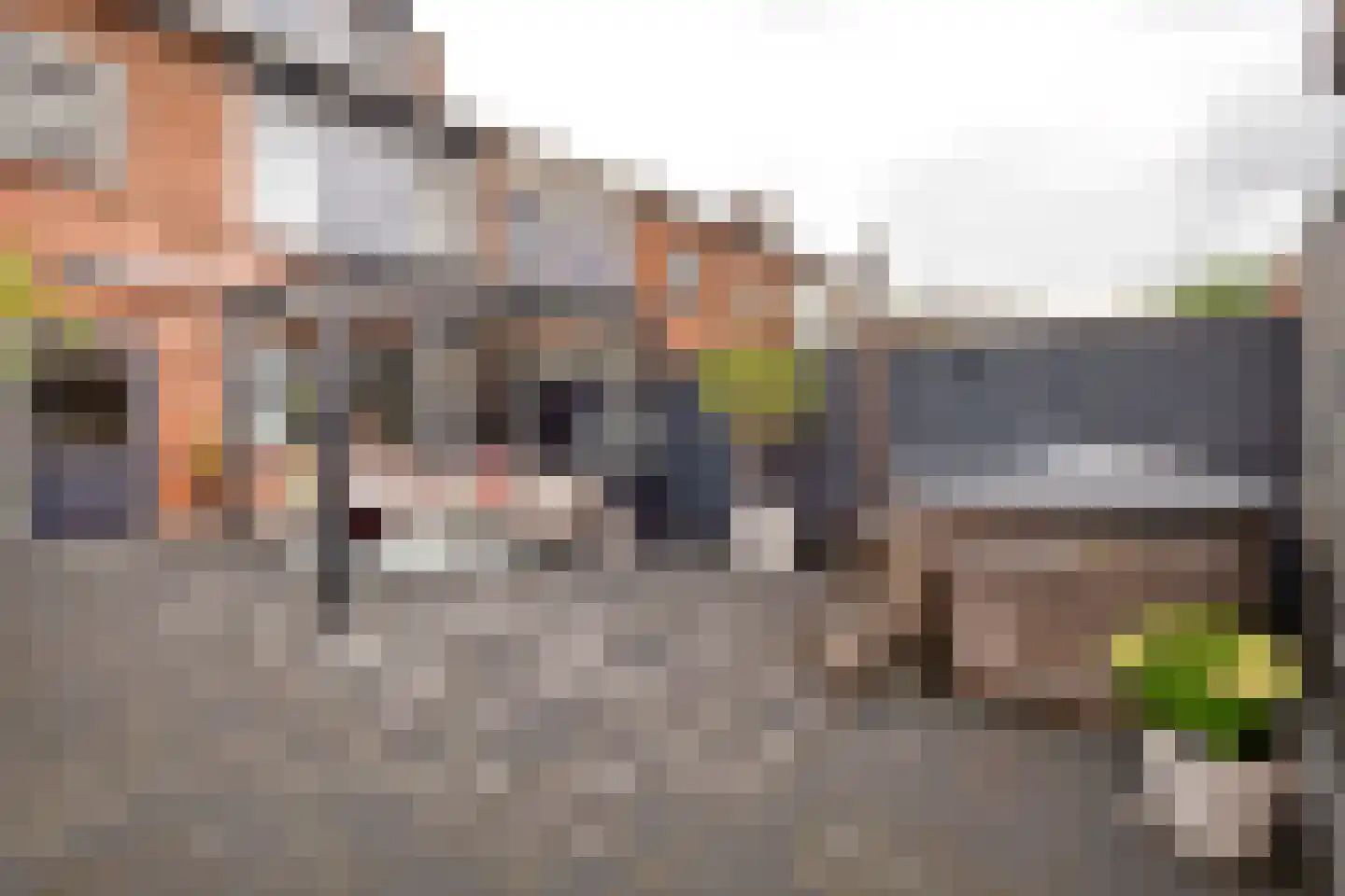Riete 12 Assen thumbnail 50