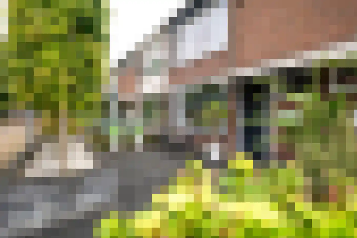 Riete 12 Assen thumbnail 6