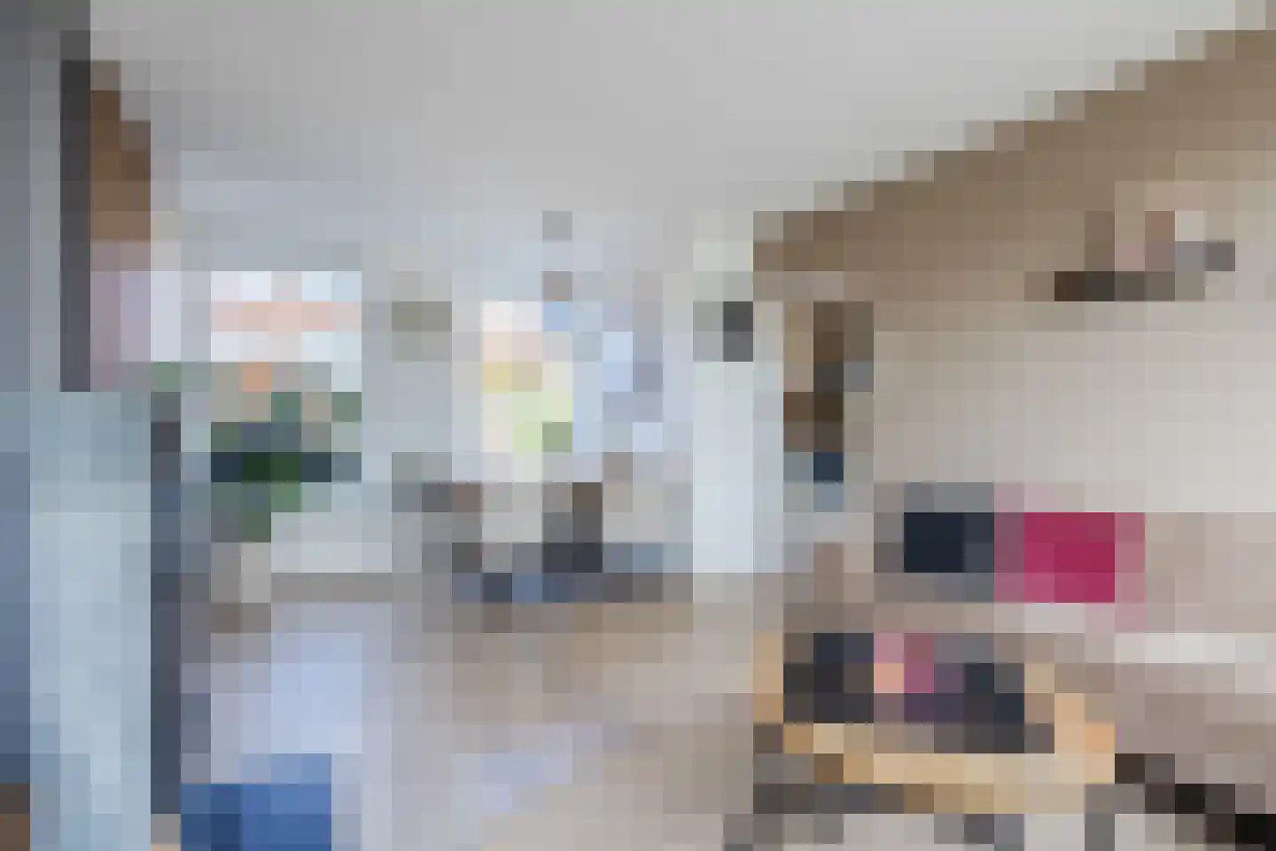 Riete 17 Assen thumbnail 11