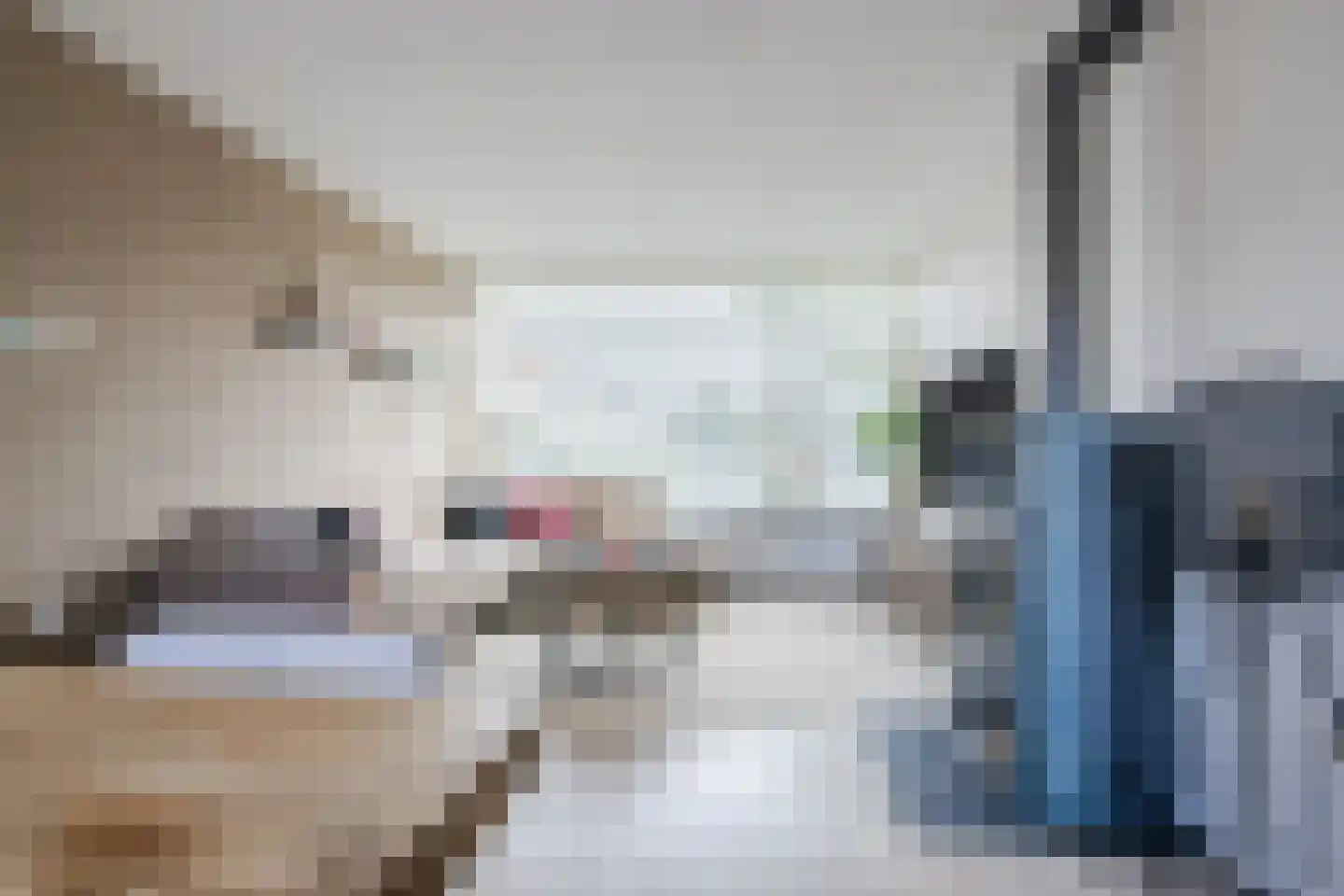 Riete 17 Assen thumbnail 14