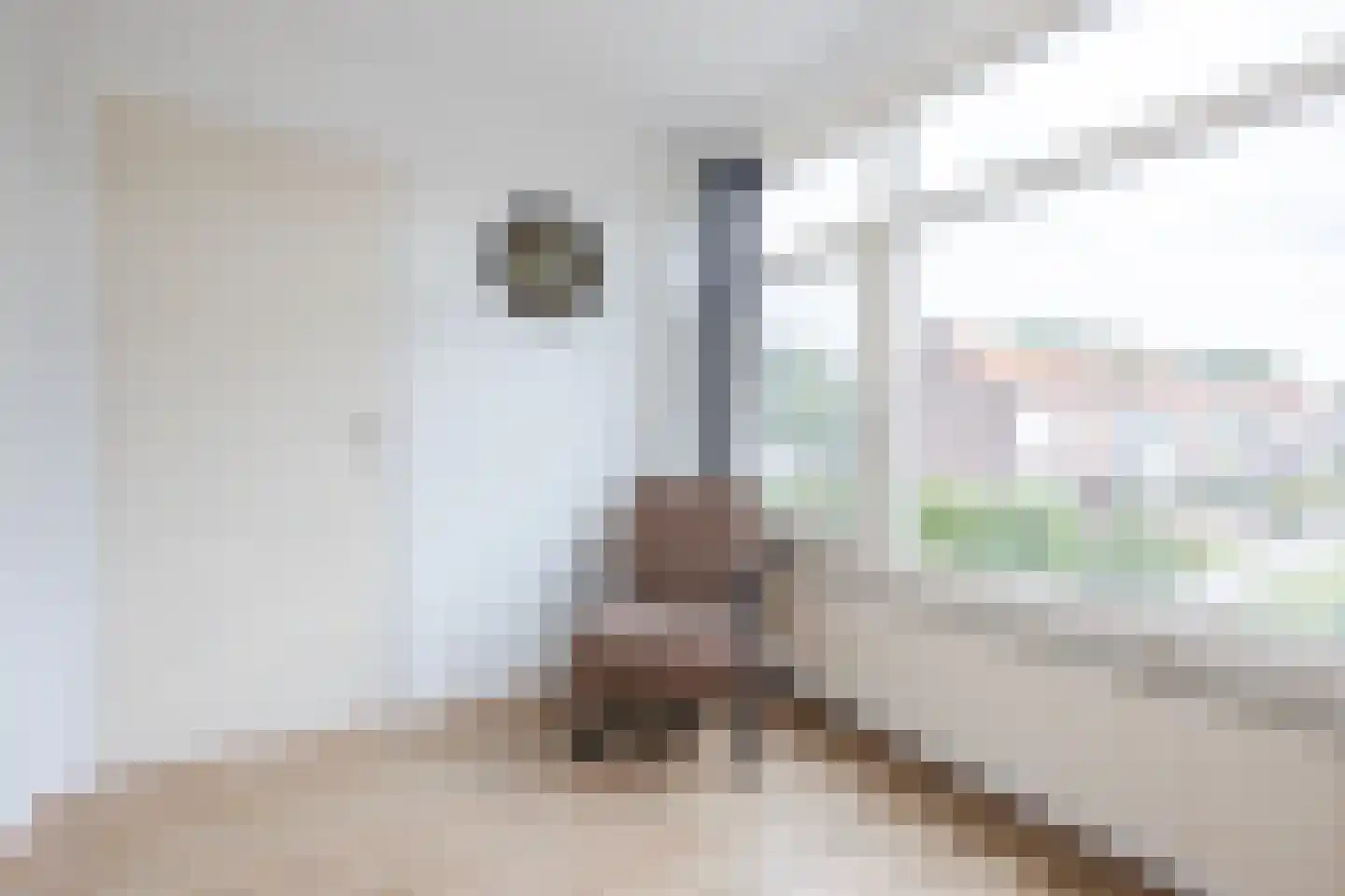 Riete 17 Assen thumbnail 26