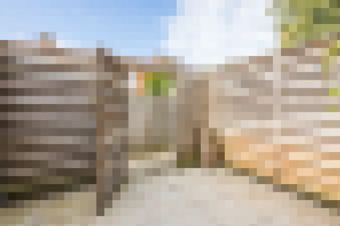 Riete 17 Assen thumbnail 41