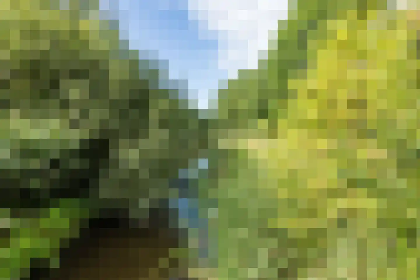 Riete 17 Assen thumbnail 43