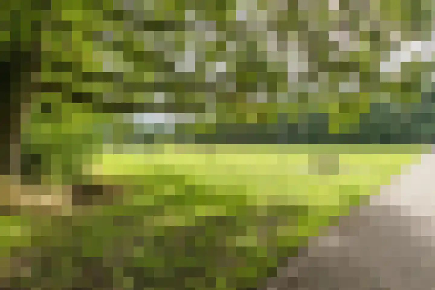 Riete 17 Assen thumbnail 44