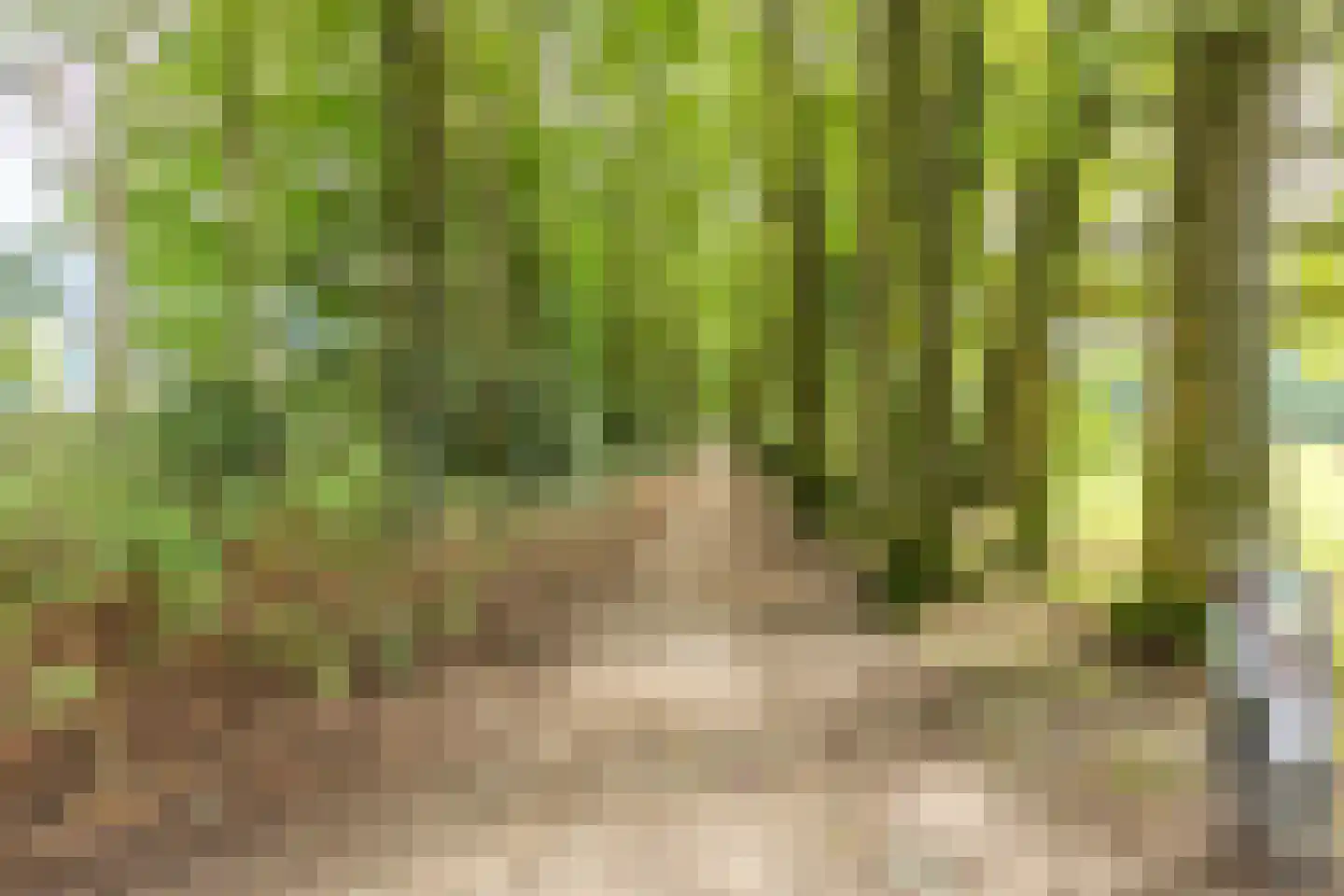 Riete 17 Assen thumbnail 45