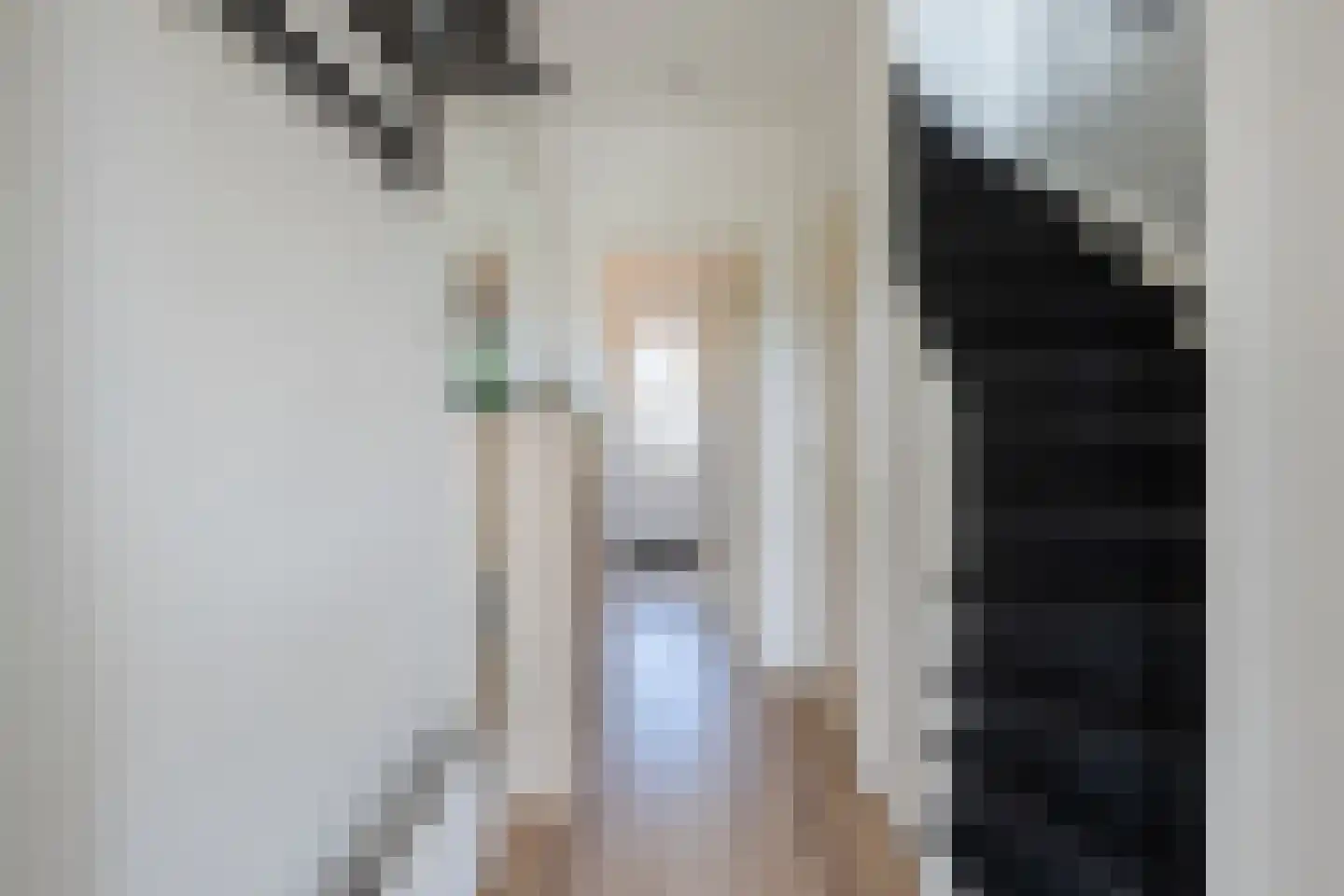 Riete 17 Assen thumbnail 5
