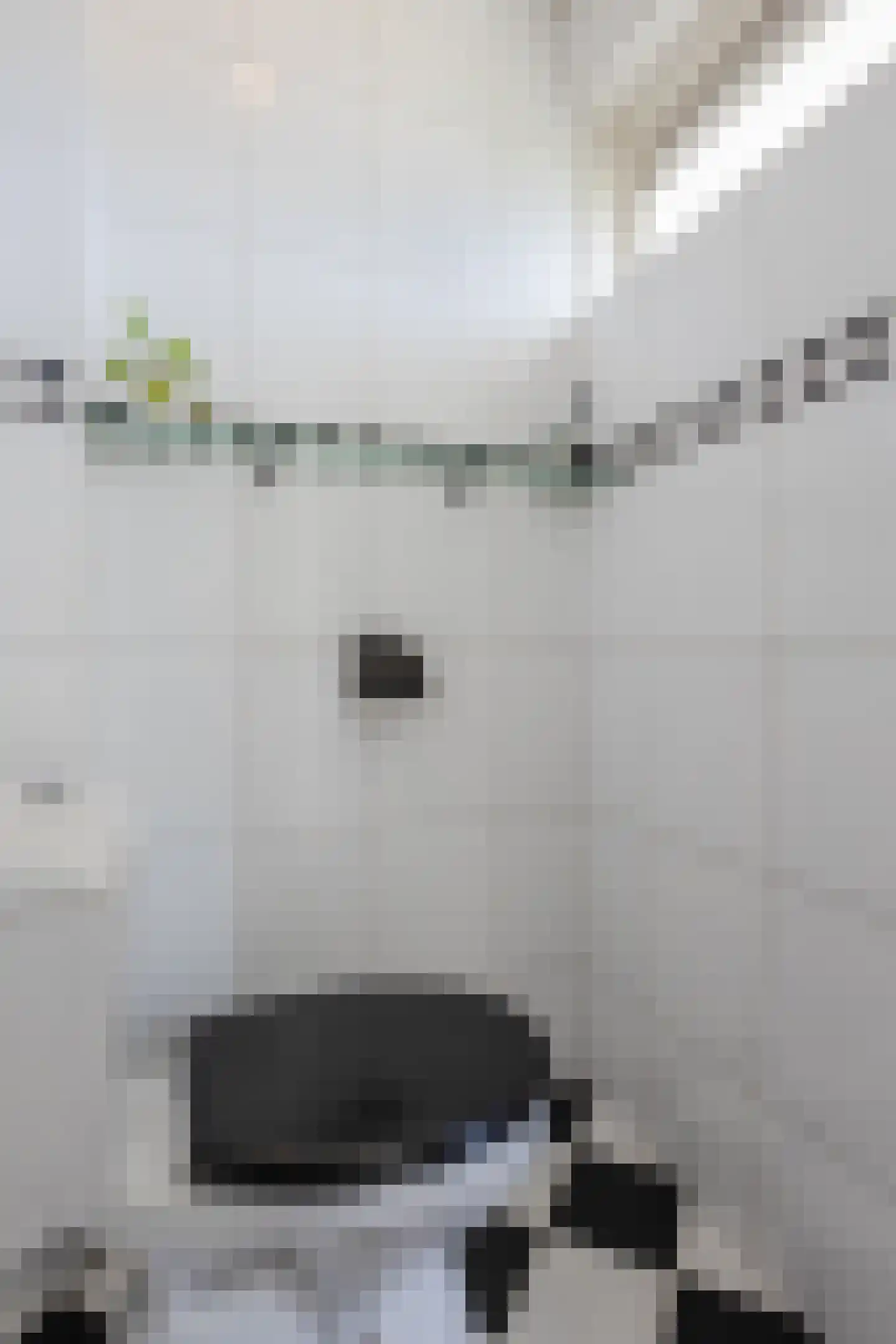Riete 17 Assen thumbnail 7