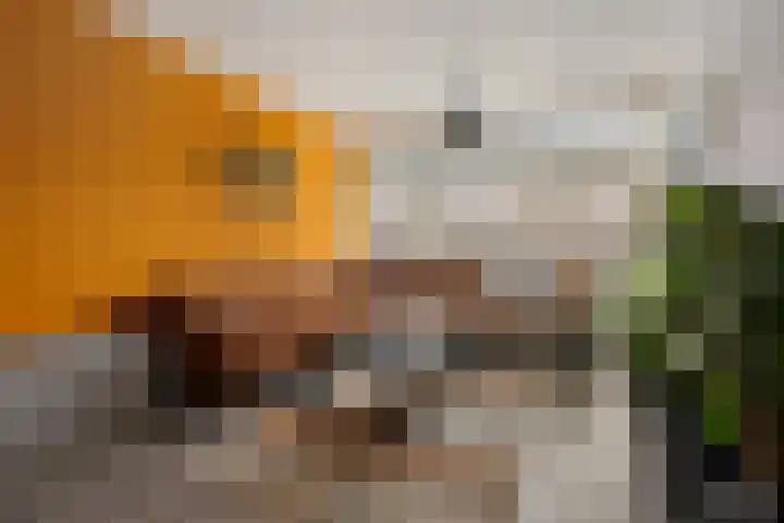 Riete 27 Assen thumbnail 12