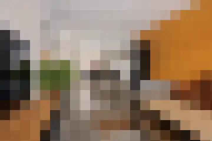 Riete 27 Assen thumbnail 14